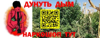 гидра Балахна