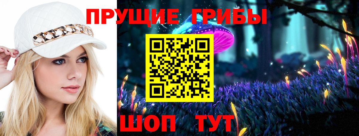 Псилоцибиновые грибы Magic Shrooms  Вход с VPN  Галлюциногенные грибы Magic Shrooms  Железногорск 