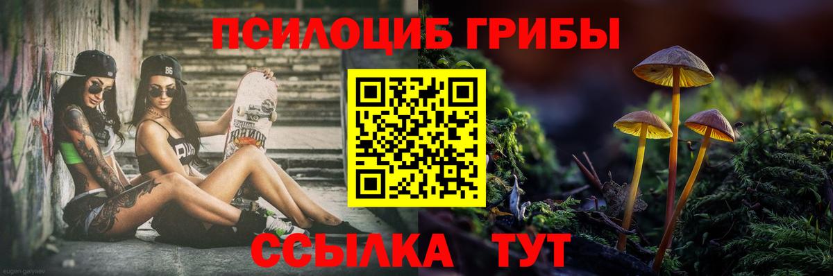 Галлюциногенные грибы GOLDEN TEACHER Железногорск