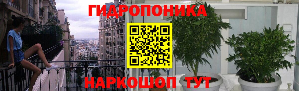 Бошки Шишки гибрид Железногорск